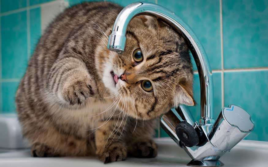 отключение воды
